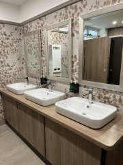 28-Ladies Vanity Unit